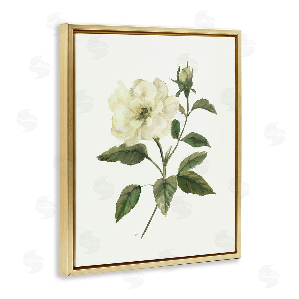 Nan Ivory Rose Bloom With Green Foliage Gold Floating Frame Canvas Wall Art Print