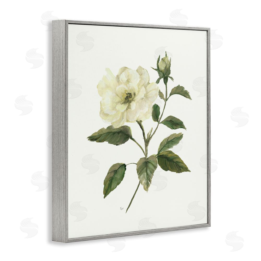 Nan Ivory Rose Bloom With Green Foliage Gray Framed Giclee Wall Art Print
