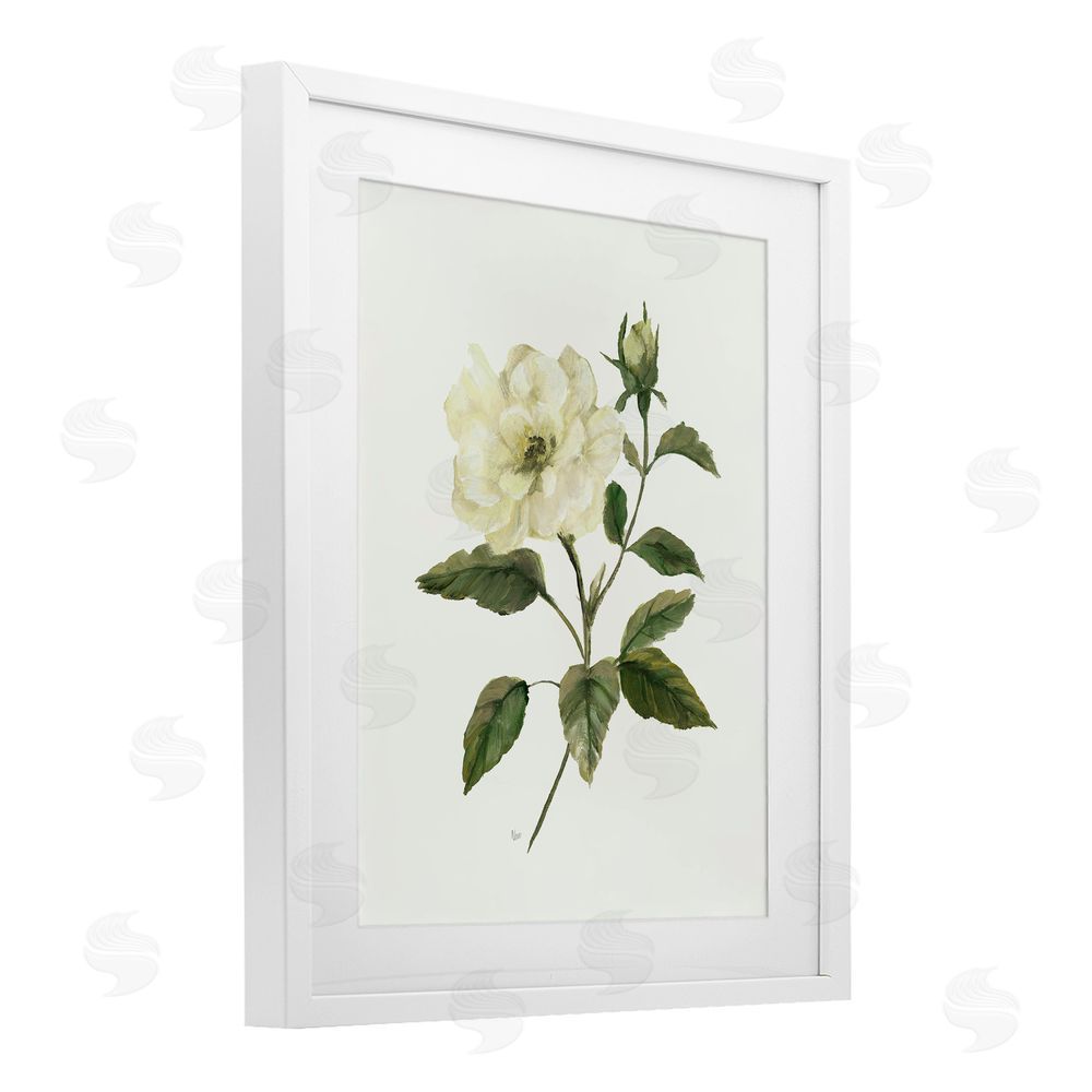 Nan Ivory Rose Bloom With Green Foliage White Framed Print Under Glass Wall Art