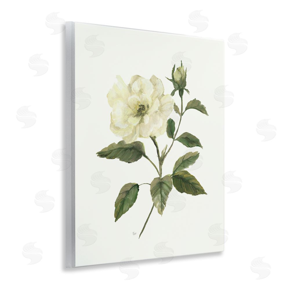 Nan Ivory Rose Bloom With Green Foliage Wooden Wall Plaque Art Print