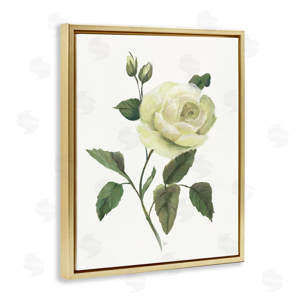Nan Cream Garden Rose with Buds Gold Floating Frame Canvas Wall Art Print