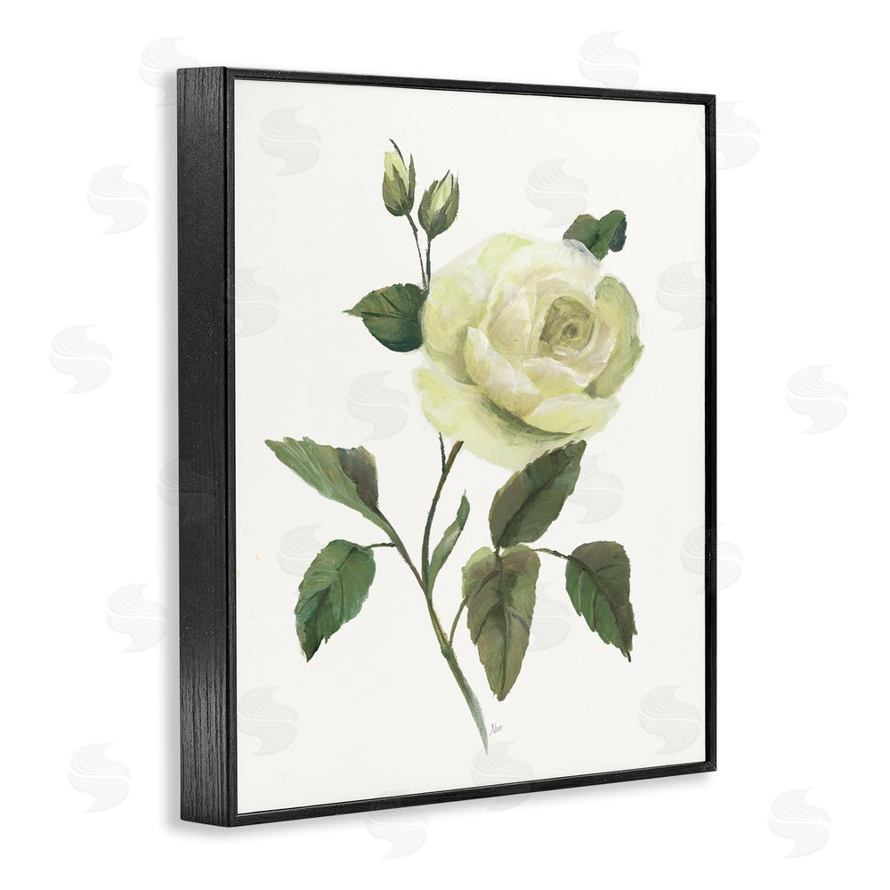 Nan Cream Garden Rose with Buds Black Framed Giclee Wall Art Print