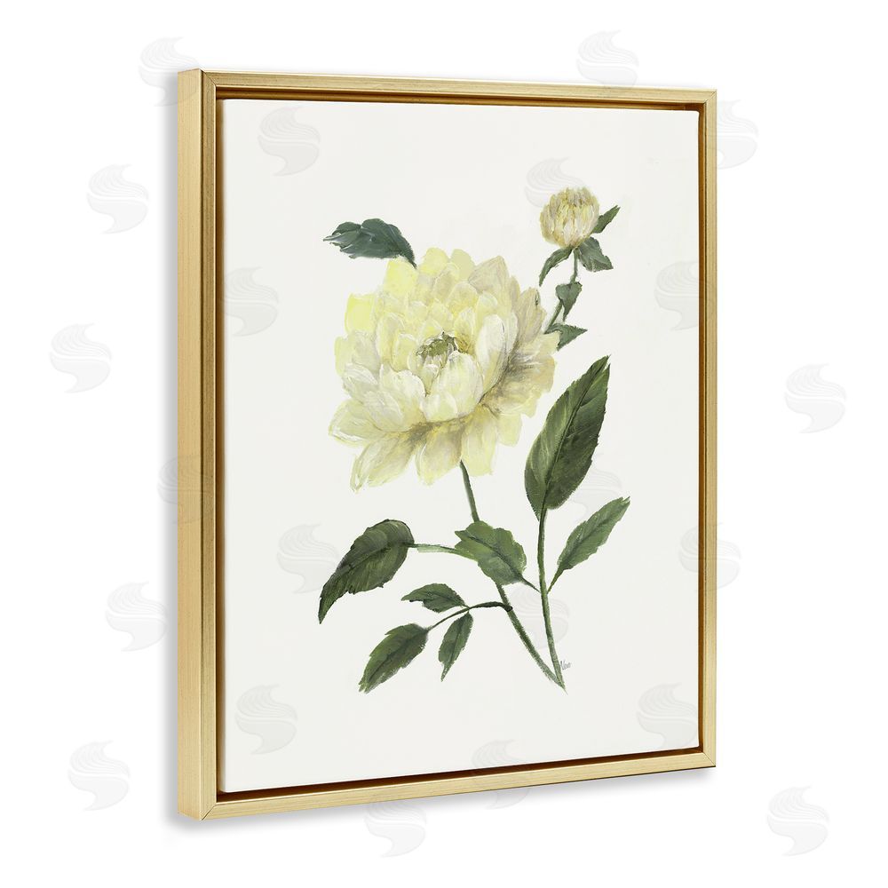 Nan Cream Garden Peony with Buds Gold Floating Frame Canvas Wall Art Print
