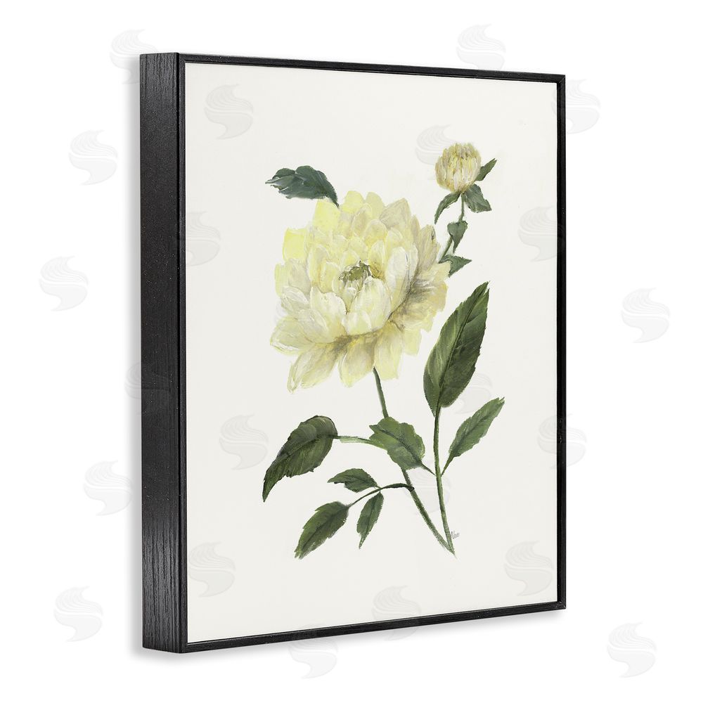 Nan Cream Garden Peony with Buds Black Framed Giclee Wall Art Print