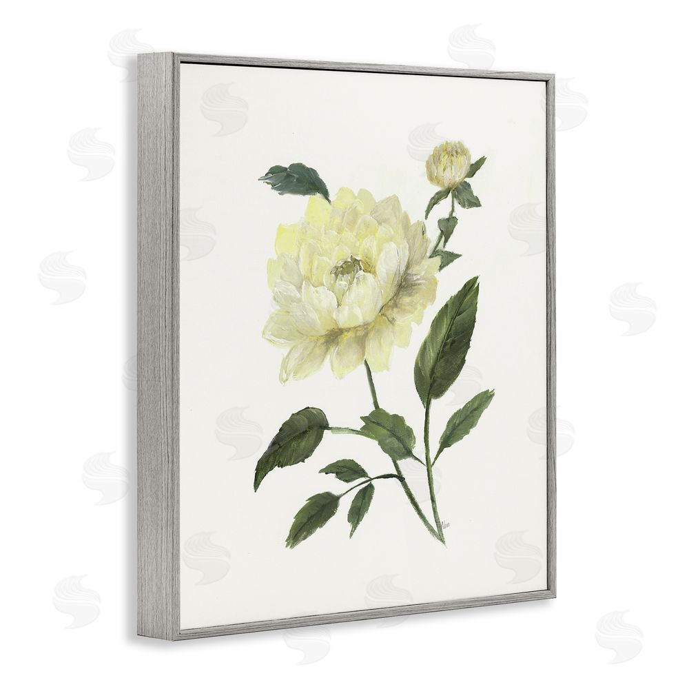 Nan Cream Garden Peony with Buds Gray Framed Giclee Wall Art Print