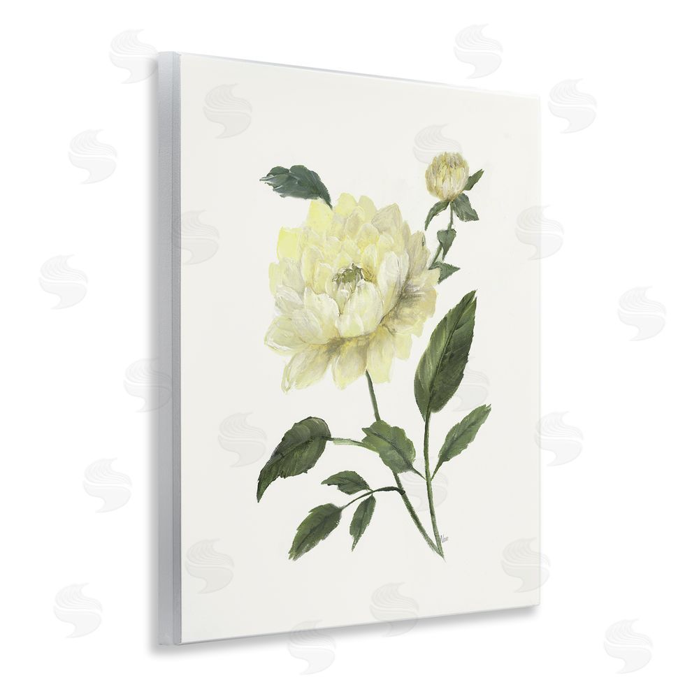 Nan Cream Garden Peony with Buds Wooden Wall Plaque Art Print