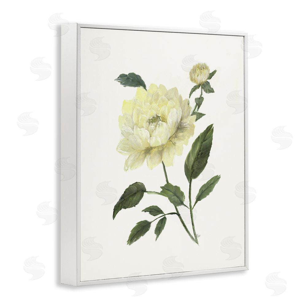 Nan Cream Garden Peony with Buds White Framed Giclee Wall Art Print