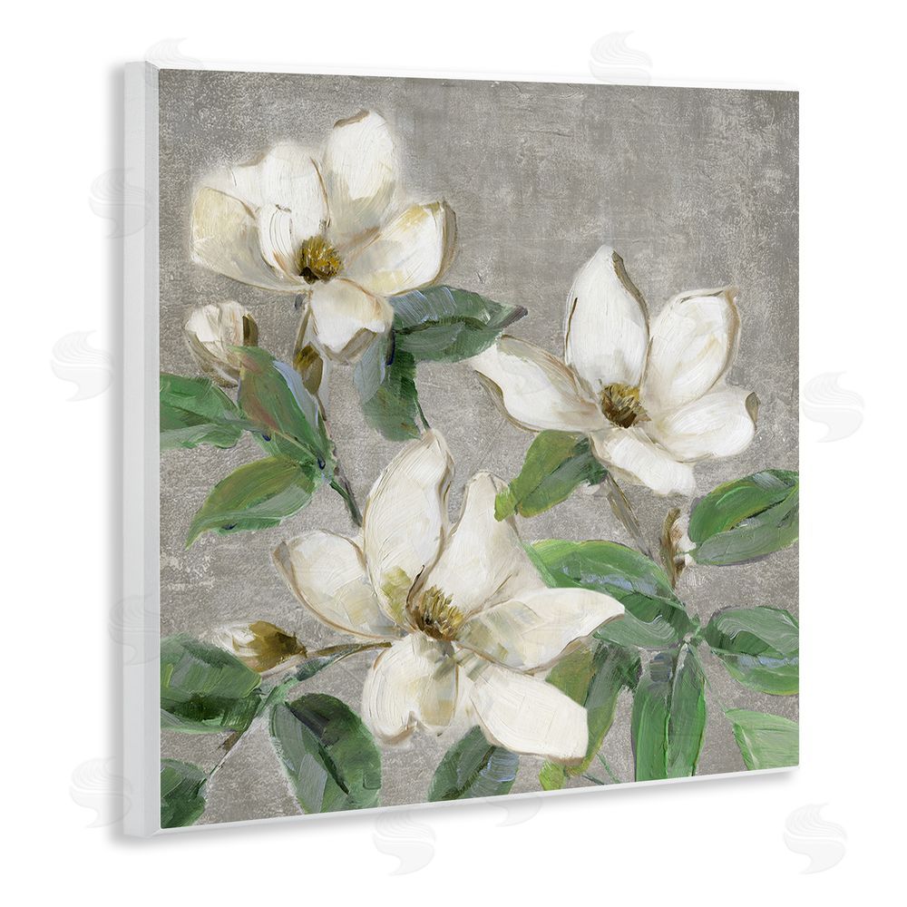 Sally Swatland Ivory Magnolias on Grey Wooden Wall Plaque Art Print