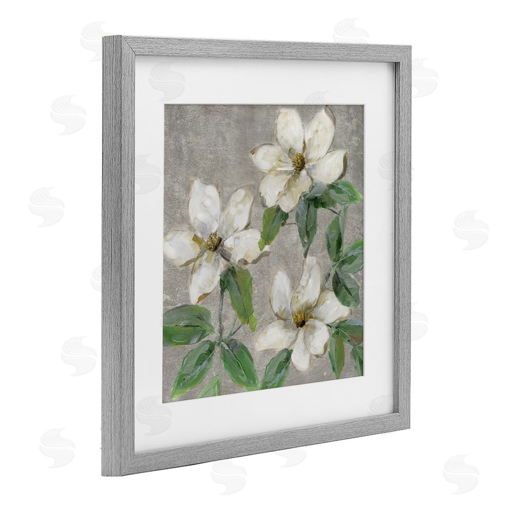 Sally Swatland Ivory Magnolia Trio Gray Framed Print Under Glass Wall Art