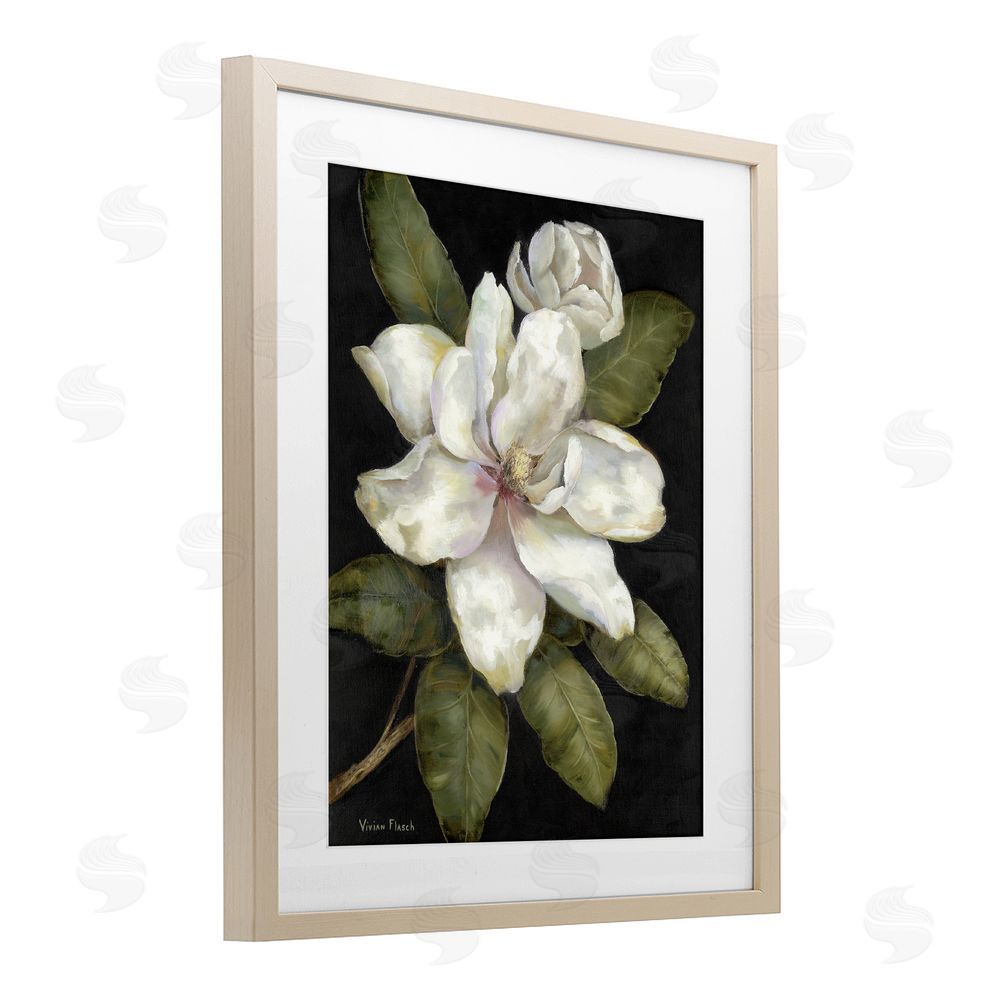 Nan Budding Magnolia Blooms Brown Framed Print Under Glass Wall Art