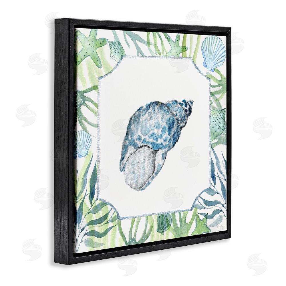 Janet Tava Spotted Cowrie with Seaweed Black Floating Frame Canvas Wall Art Print