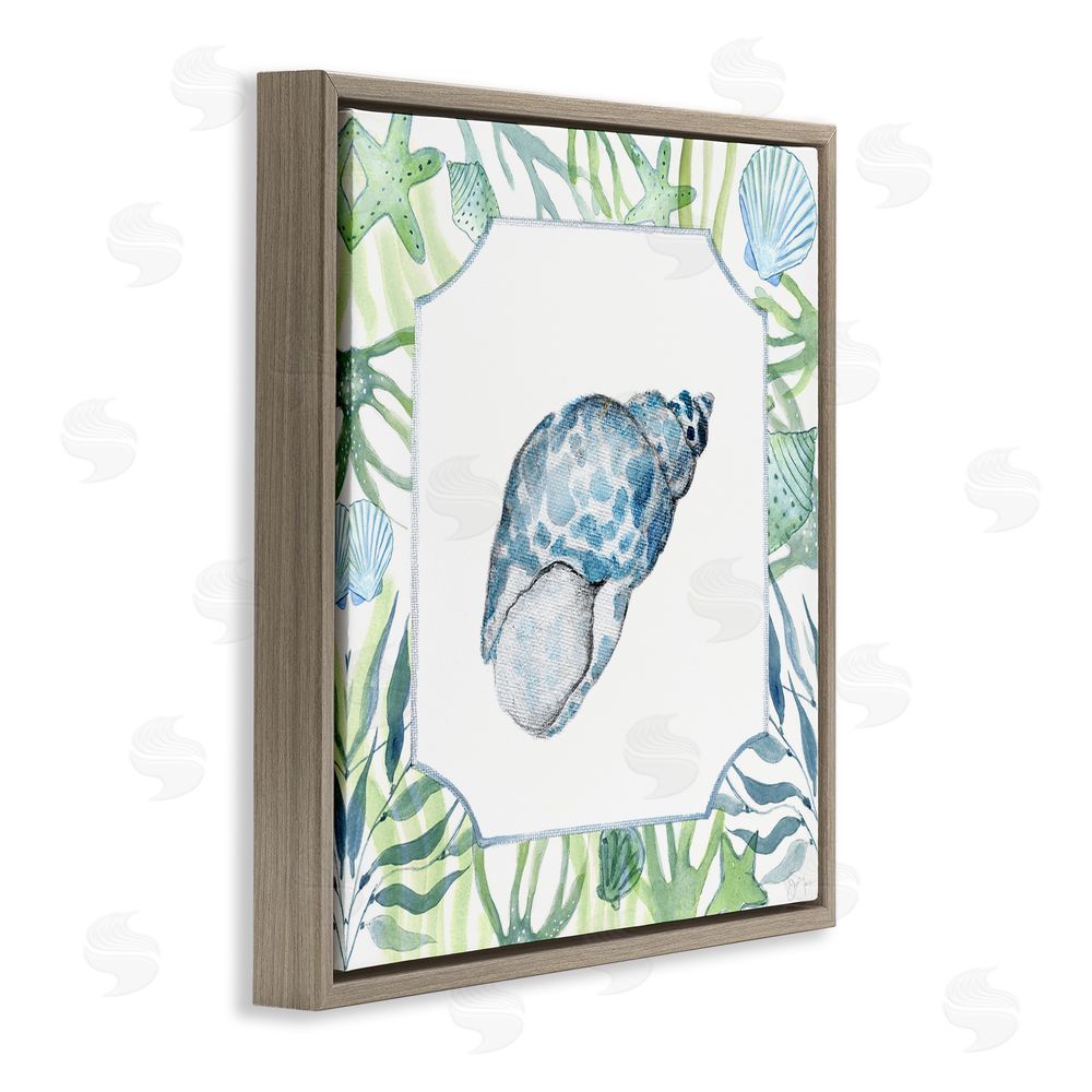 Janet Tava Spotted Cowrie with Seaweed Brown Floating Frame Canvas Wall Art Print