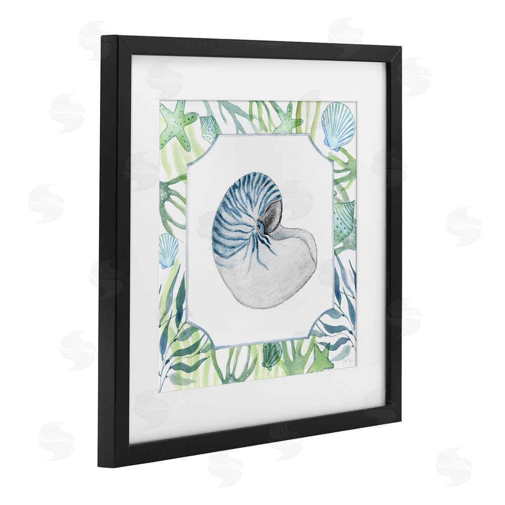 Janet Tava Seaweed & Seashells Aquatic Black Framed Print Under Glass Wall Art