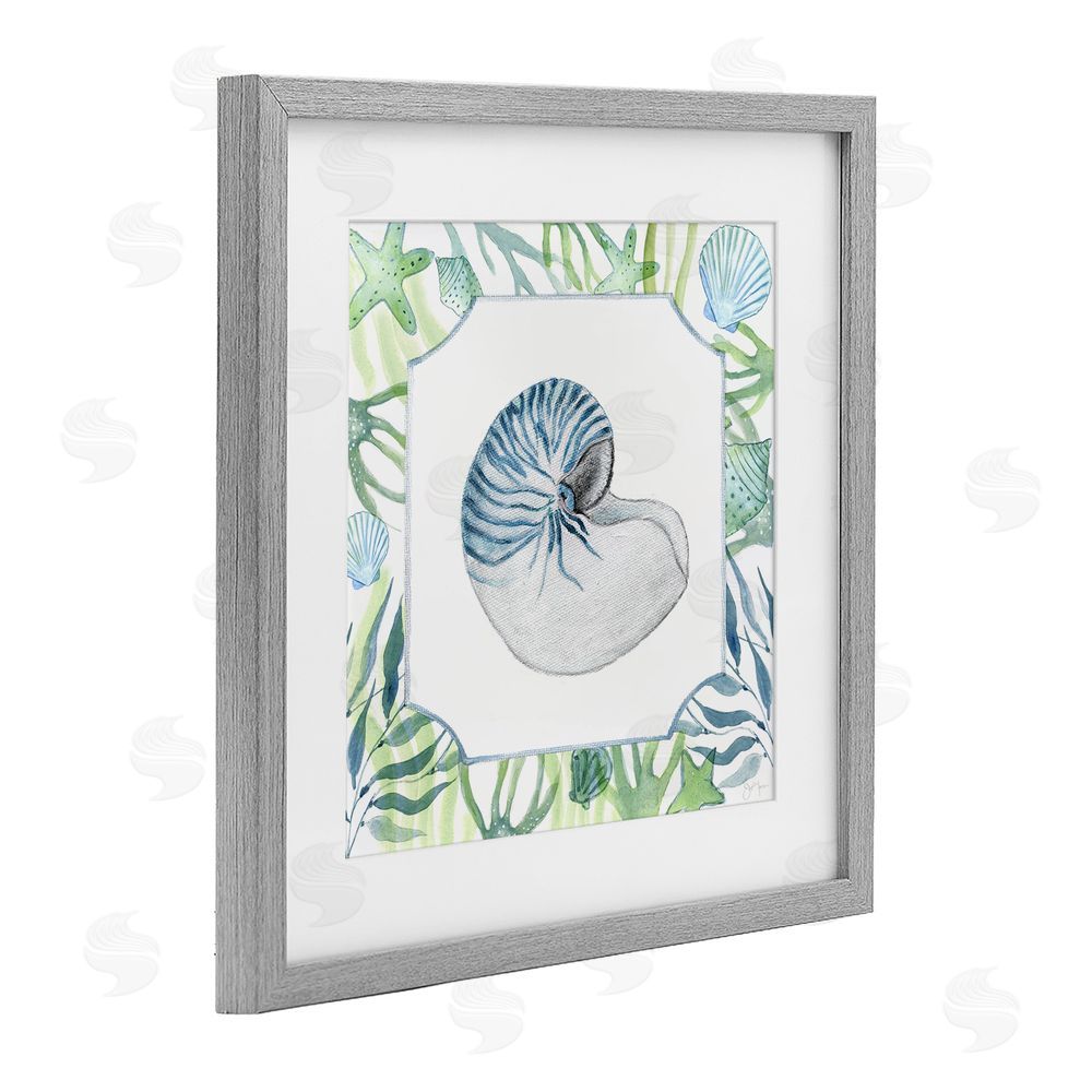 Janet Tava Seaweed & Seashells Aquatic Gray Framed Print Under Glass Wall Art