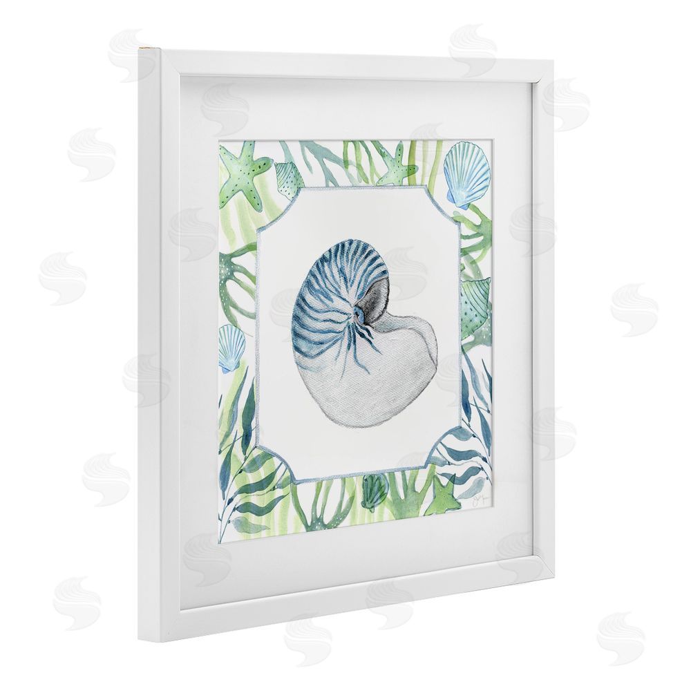 Janet Tava Seaweed & Seashells Aquatic White Framed Print Under Glass Wall Art