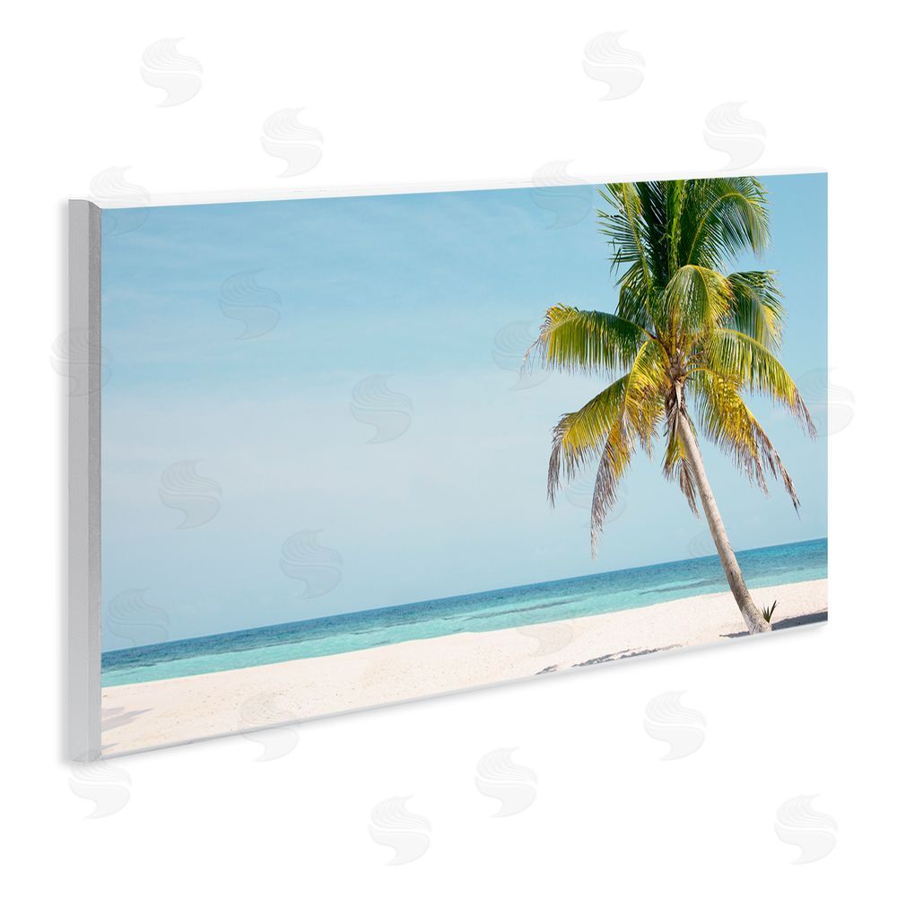 Danita Delimont Tropical Island Palm Tree Wooden Wall Plaque Art Print