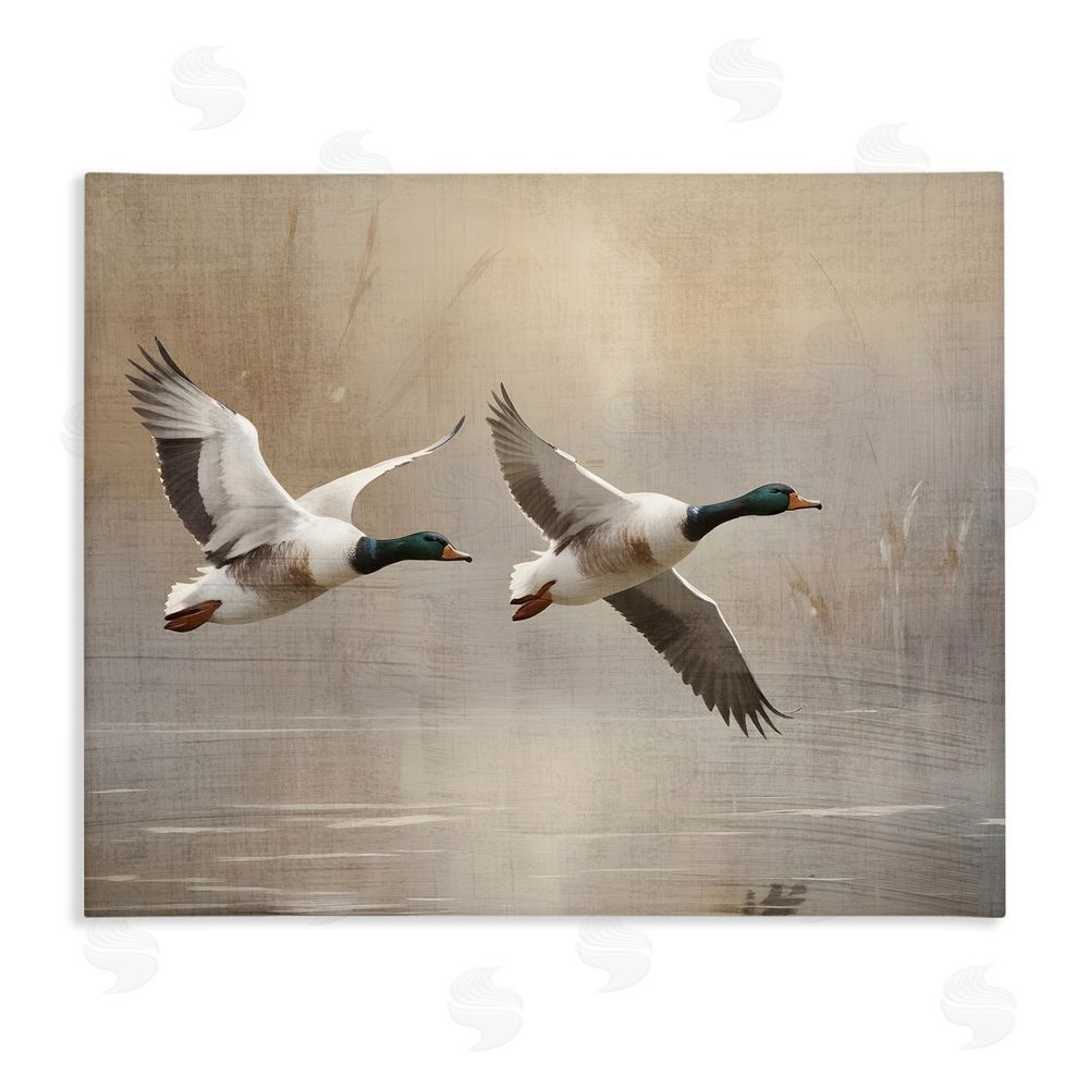 Susan Arnot Mallard Ducks over Pond Stretched Canvas Wall Art Print