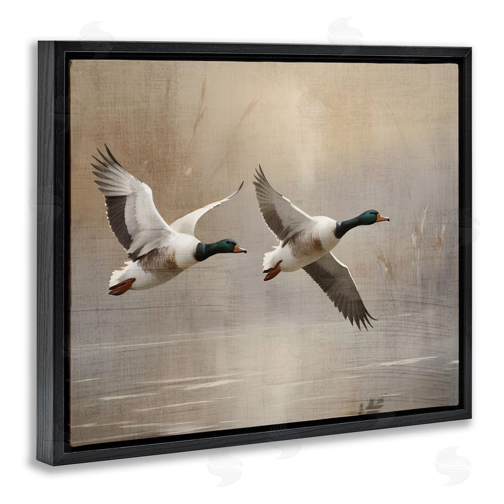 Susan Arnot Mallard Ducks over Pond Black Floating Frame Canvas Wall Art Print
