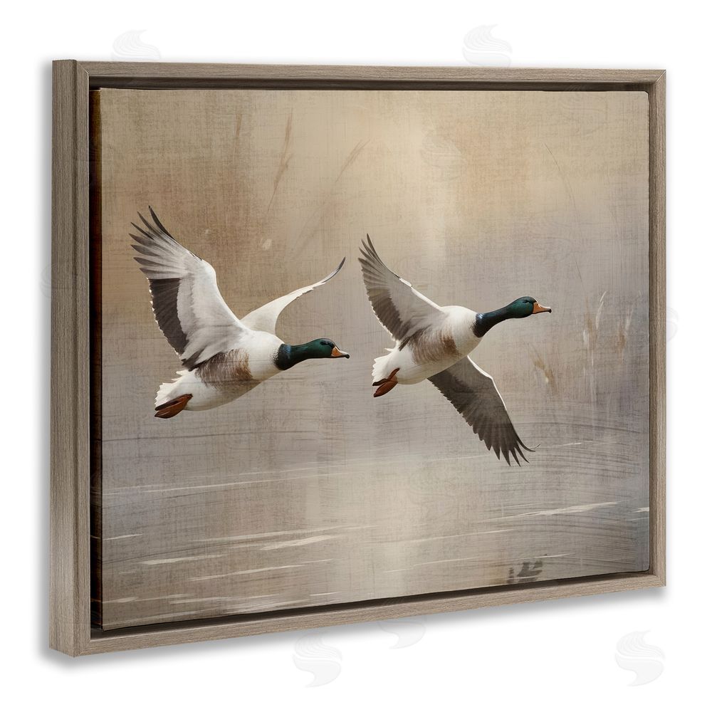 Susan Arnot Mallard Ducks over Pond Brown Floating Frame Canvas Wall Art Print