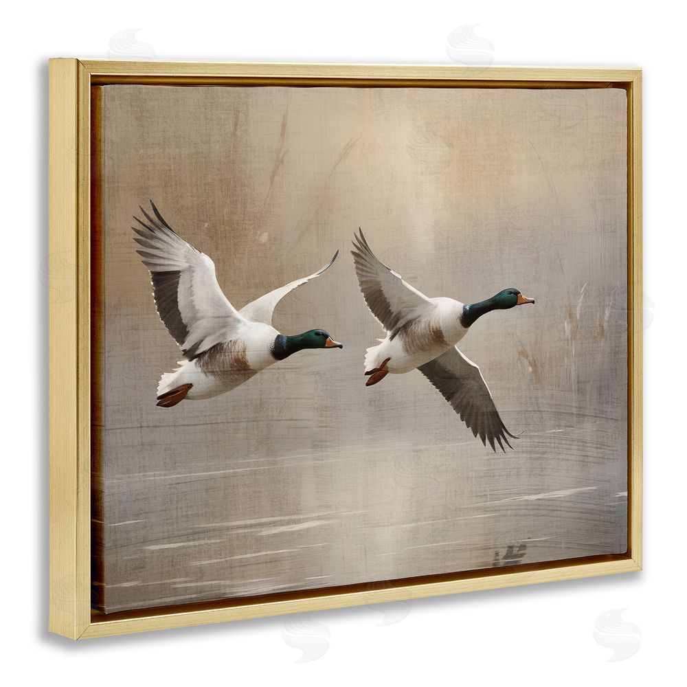 Susan Arnot Mallard Ducks over Pond Gold Floating Frame Canvas Wall Art Print