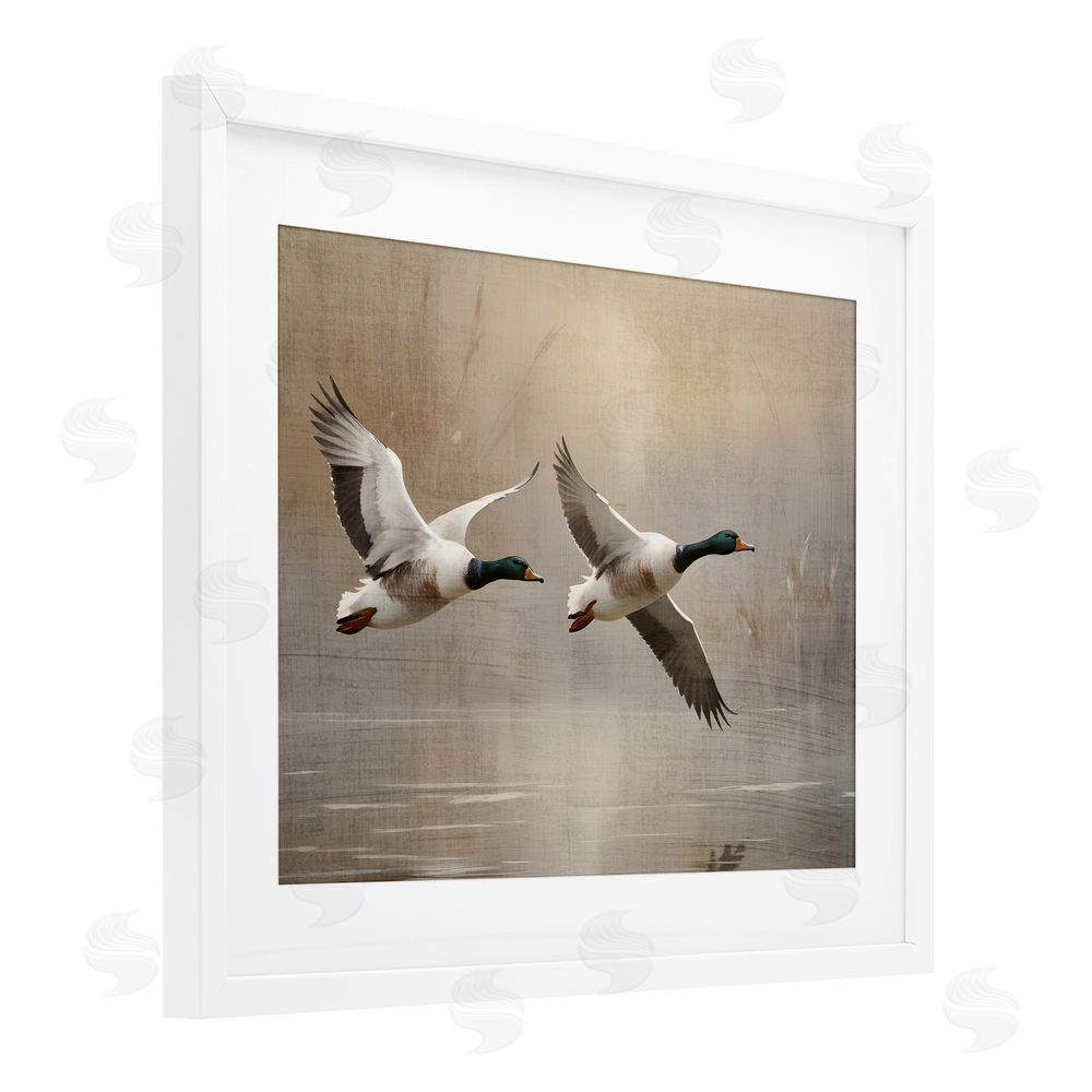 Susan Arnot Mallard Ducks over Pond White Framed Print Under Glass Wall Art