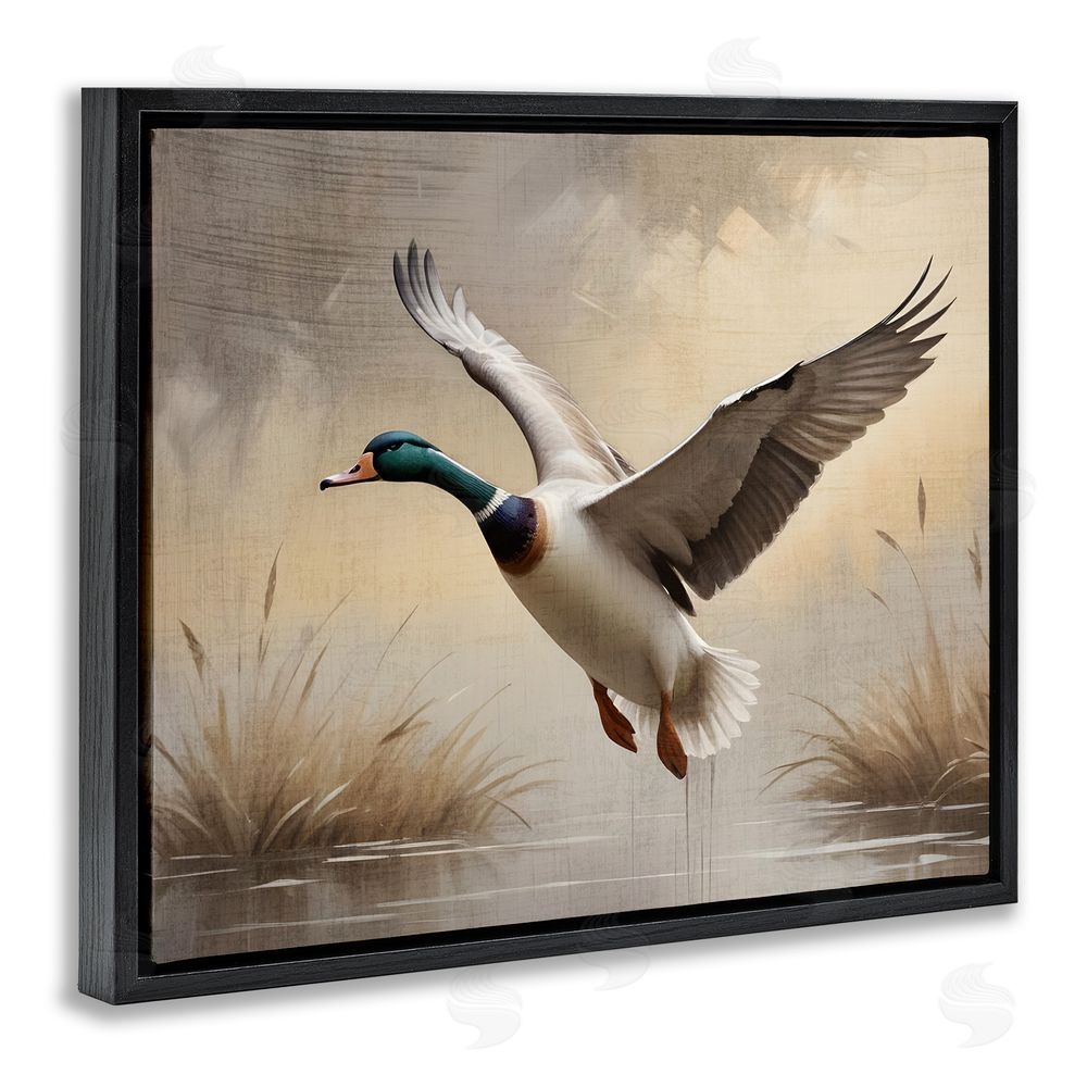 Susan Arnot Gliding Mallard over Wetlands Black Floating Frame Canvas Wall Art Print