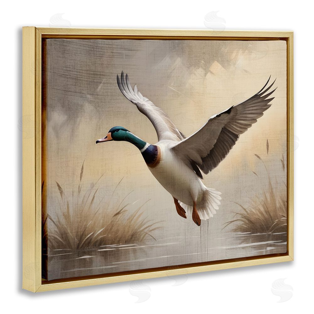 Susan Arnot Gliding Mallard over Wetlands Gold Floating Frame Canvas Wall Art Print