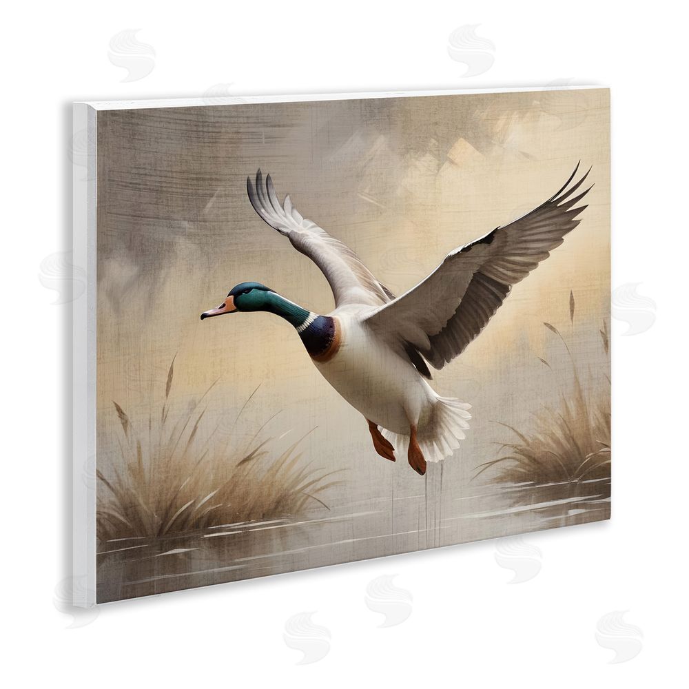 Susan Arnot Gliding Mallard over Wetlands Wooden Wall Plaque Art Print