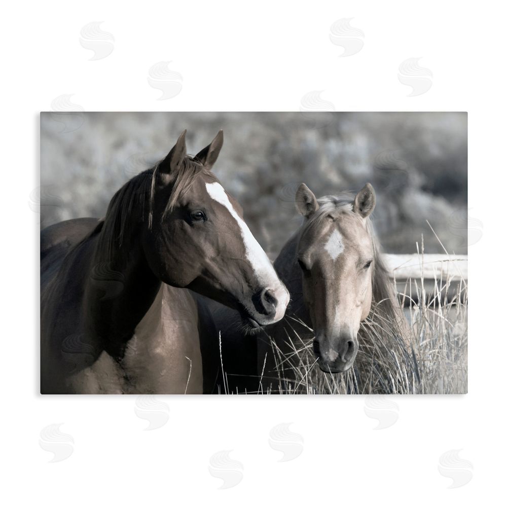 Danita Delimont Content Horses In Pasture Stretched Canvas Wall Art Print