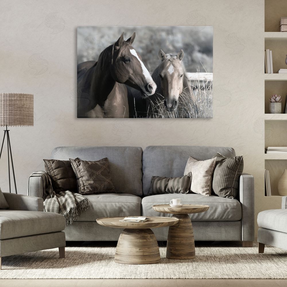 Danita Delimont Content Horses In Pasture Stretched Canvas Wall Art in Room