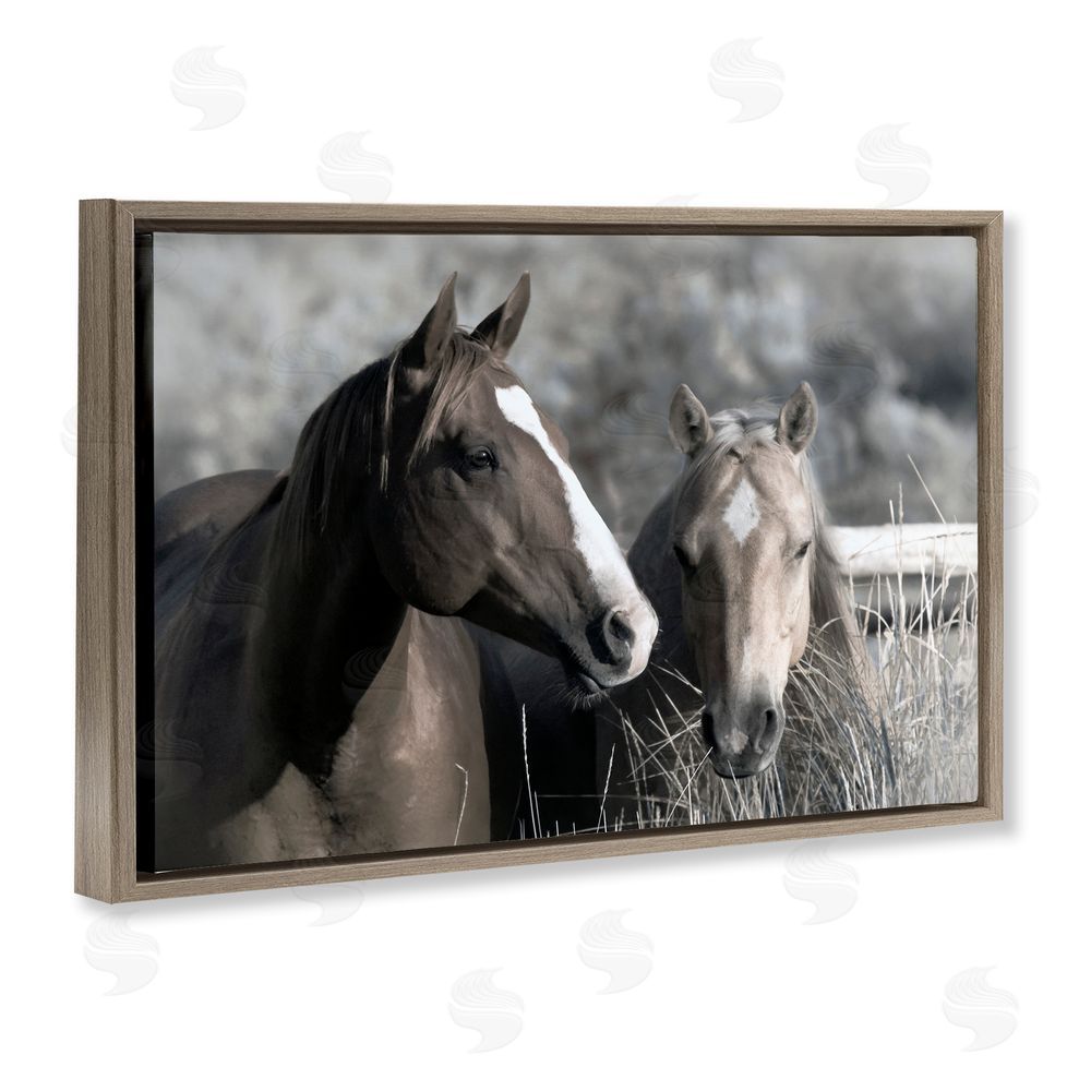Danita Delimont Content Horses In Pasture Brown Floating Frame Canvas Wall Art Print