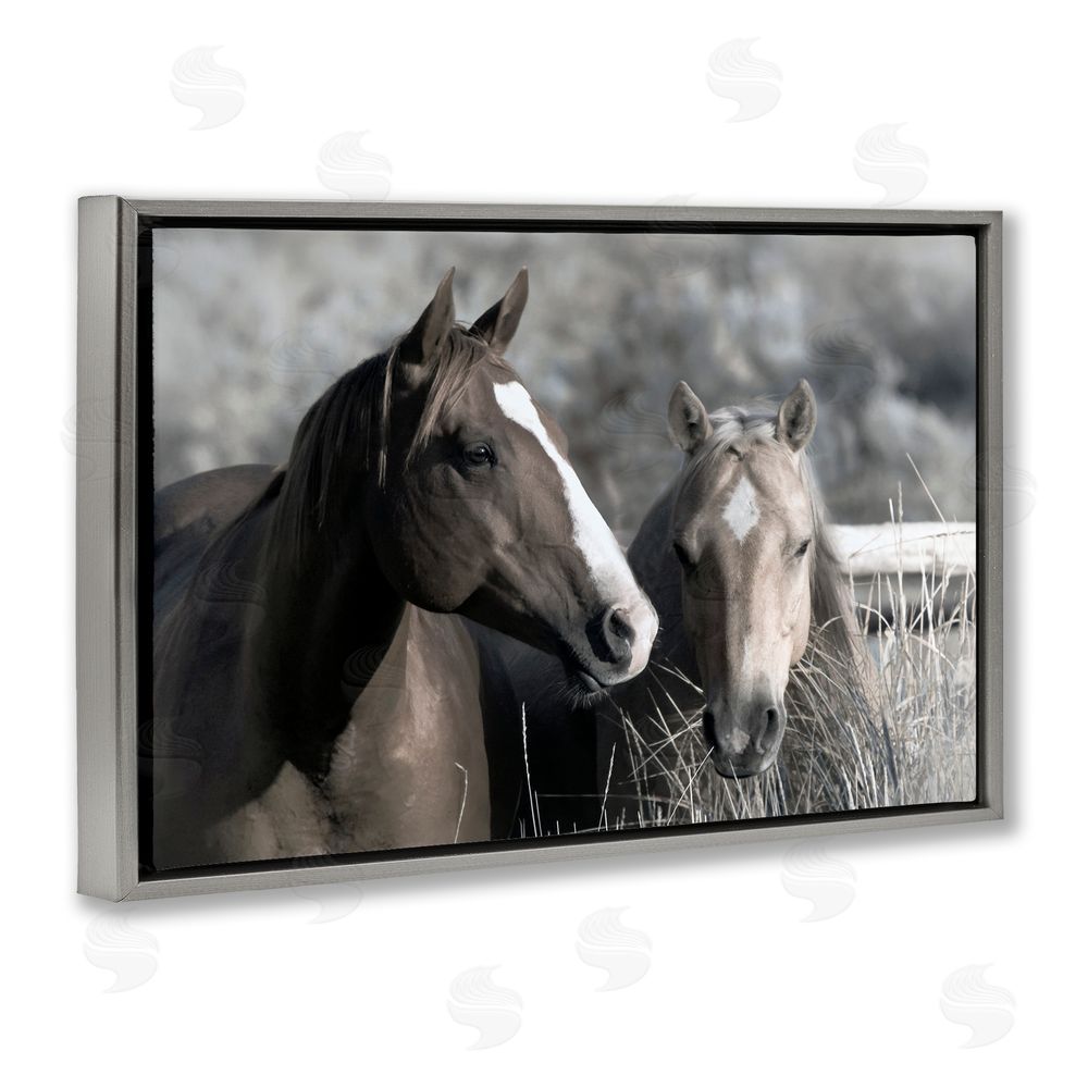 Danita Delimont Content Horses In Pasture Gray Floating Frame Canvas Wall Art Print
