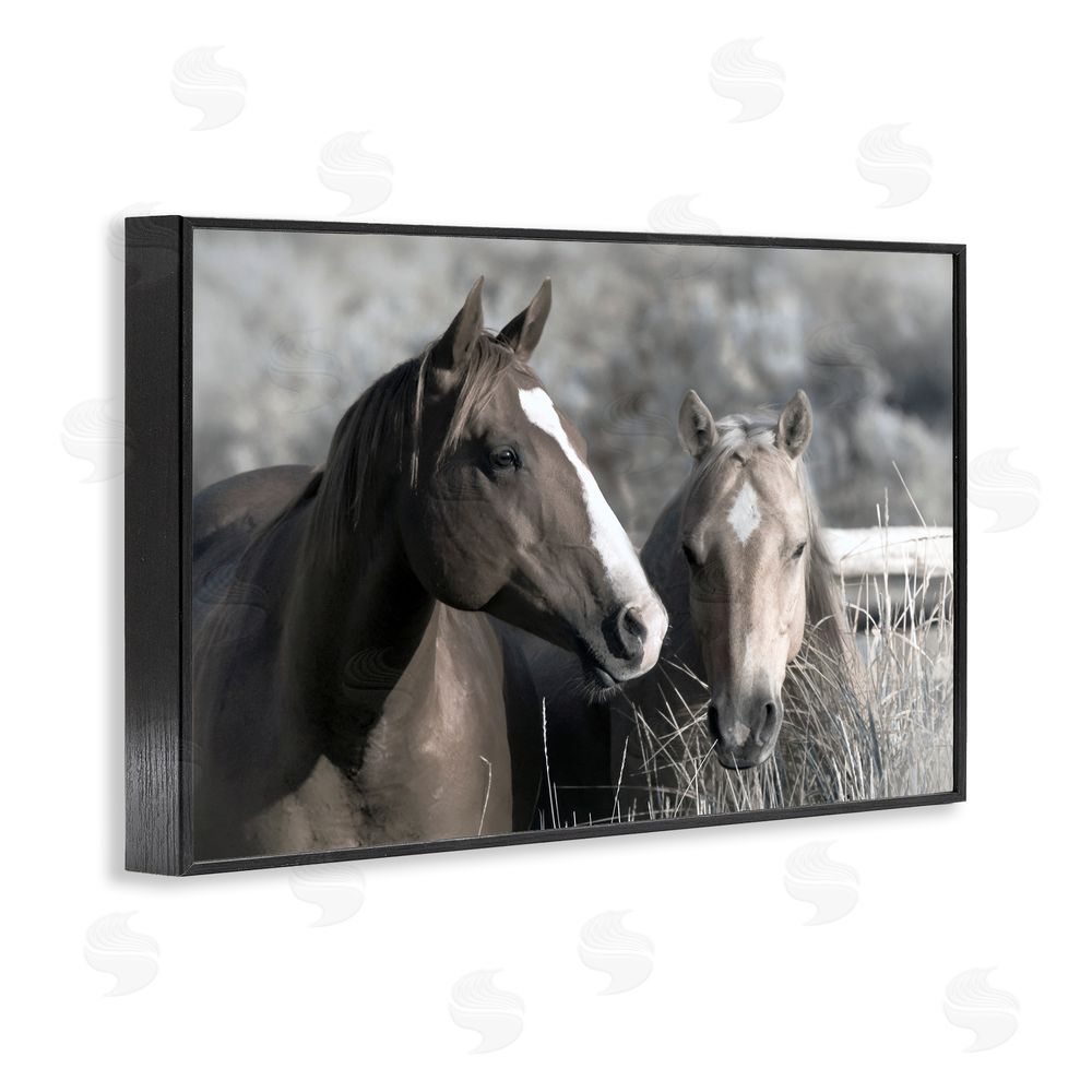 Danita Delimont Content Horses In Pasture Black Framed Giclee Wall Art Print