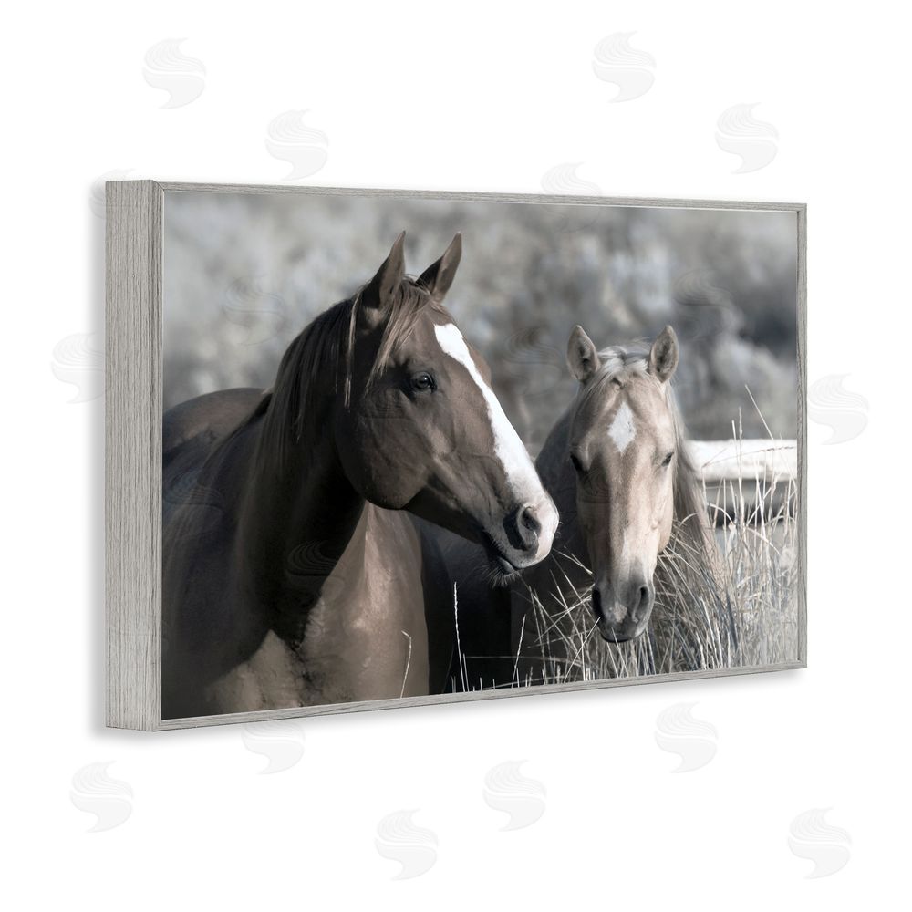 Danita Delimont Content Horses In Pasture Gray Framed Giclee Wall Art Print