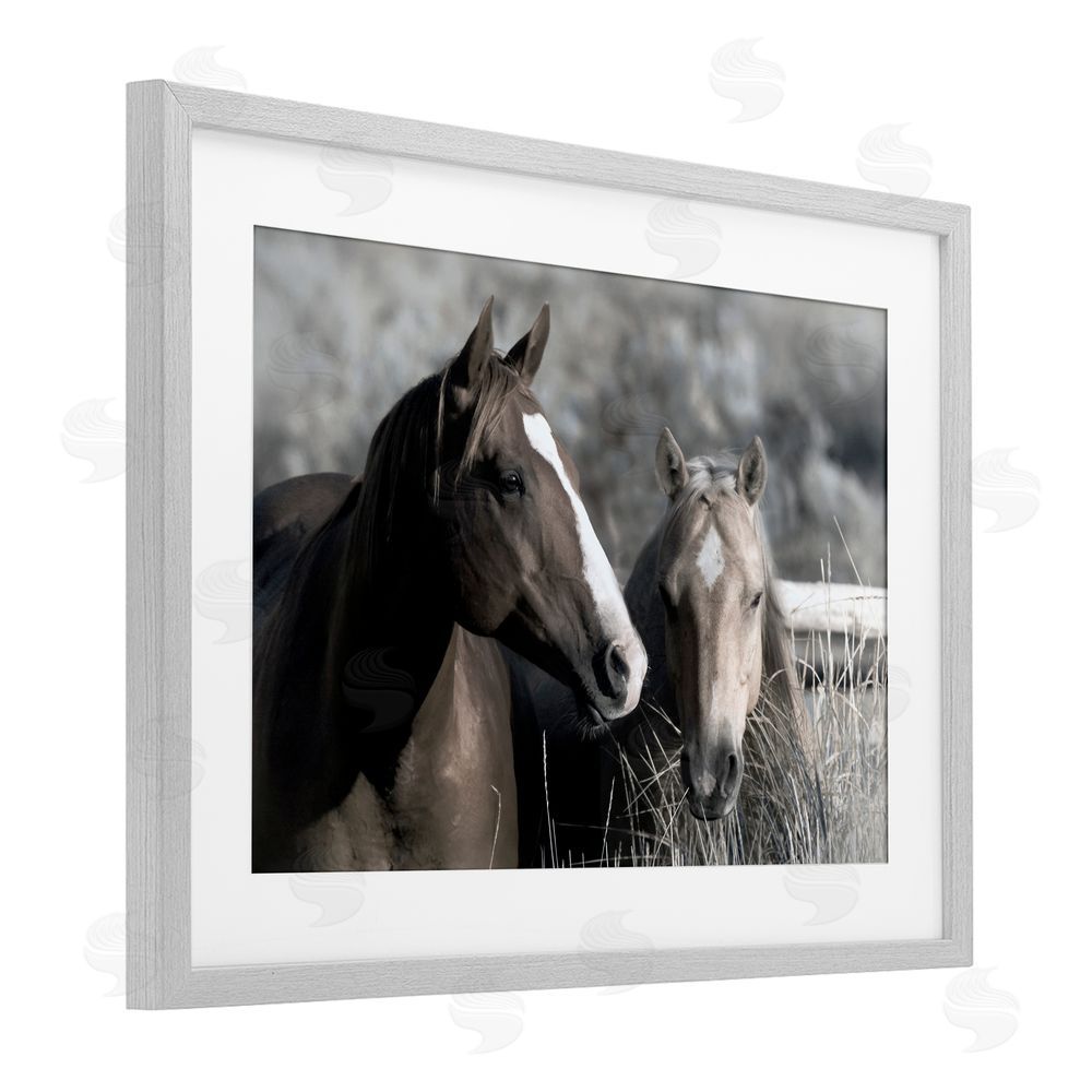 Danita Delimont Content Horses In Pasture Gray Framed Print Under Glass Wall Art