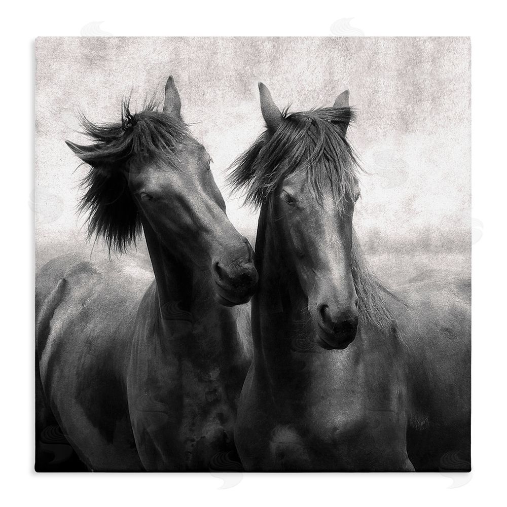 Lars Van de Goor Short Haired Horse Pair Stretched Canvas Wall Art Print