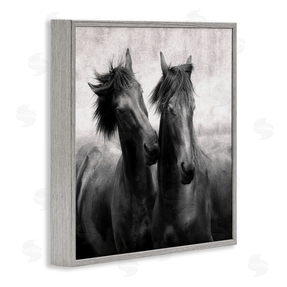 Lars Van de Goor Short Haired Horse Pair Gray Framed Giclee Wall Art Print