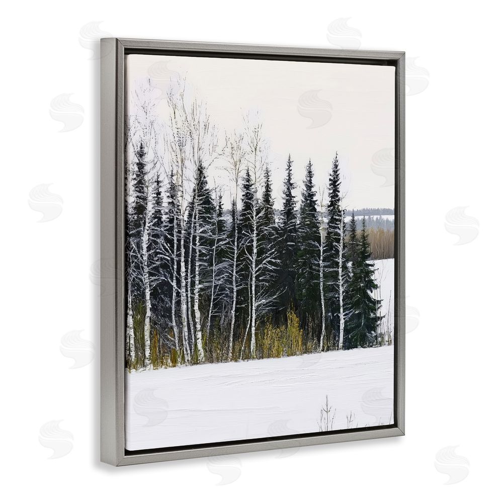 Arlington Prints Winter Landscape Grove Gray Floating Frame Canvas Wall Art Print