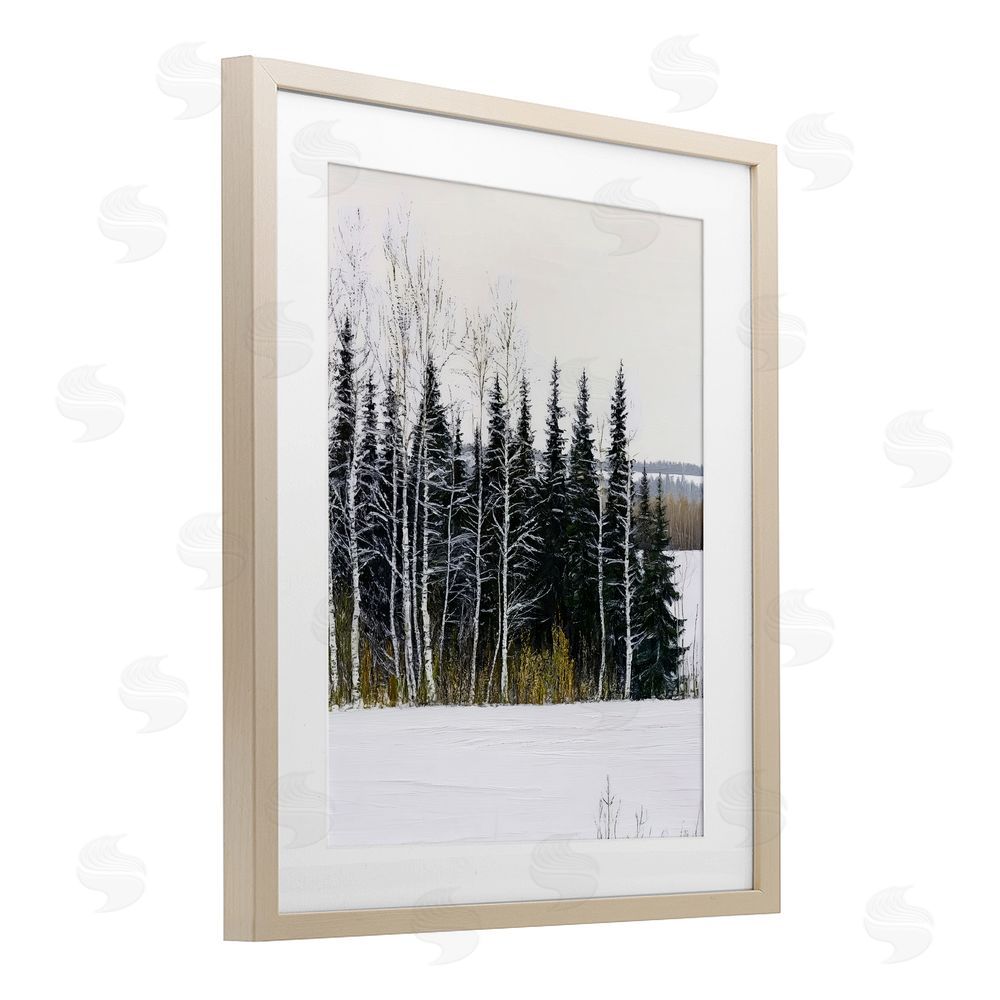 Arlington Prints Winter Landscape Grove Birch Framed Print Under Glass with White Mat Wall Art