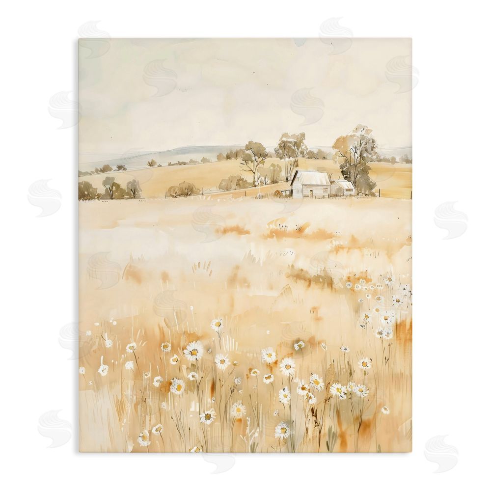Creative Studio Farm Country Meadow with Daisies Stretched Canvas Wall Art