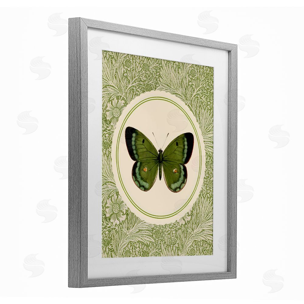 LSR Design Studio Green Butterfly Botanical Medallion Gray Framed Print Under Glass Wall Art
