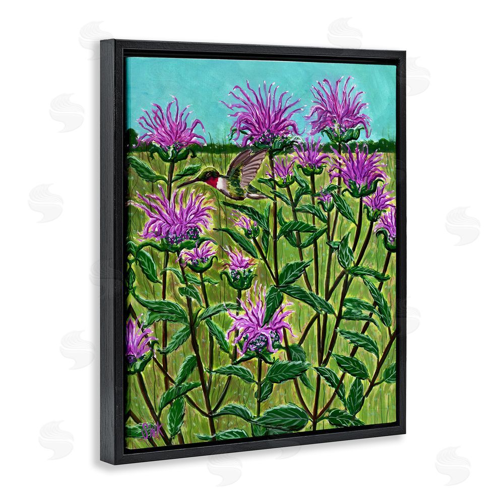 Sarah Waldron Kimball Ruby Throated Hummingbird & Beebalm Black Floating Frame Canvas Wall Art Print