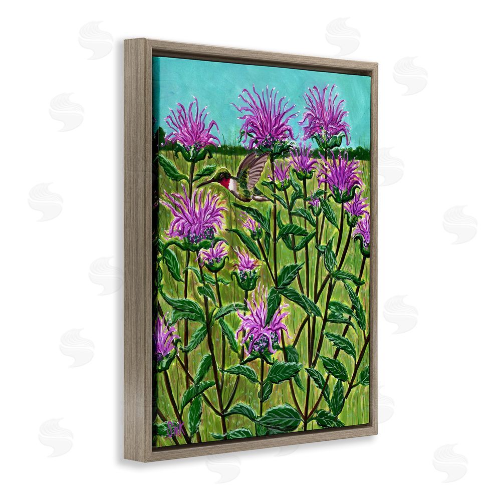 Sarah Waldron Kimball Ruby Throated Hummingbird & Beebalm Brown Floating Frame Canvas Wall Art Print