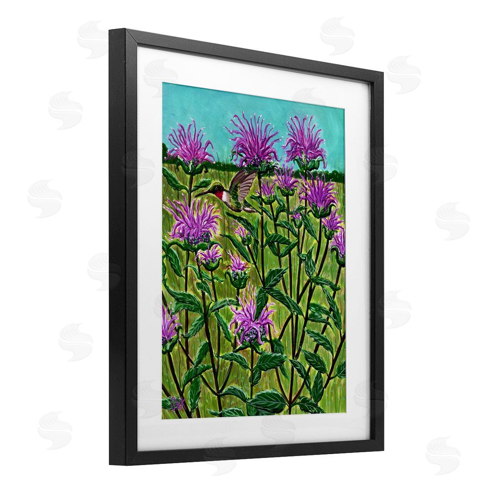 Sarah Waldron Kimball Ruby Throated Hummingbird & Beebalm Black Framed Print Under Glass Wall Art