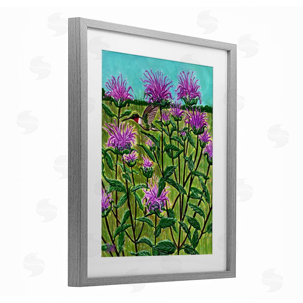 Sarah Waldron Kimball Ruby Throated Hummingbird & Beebalm Gray Framed Print Under Glass Wall Art