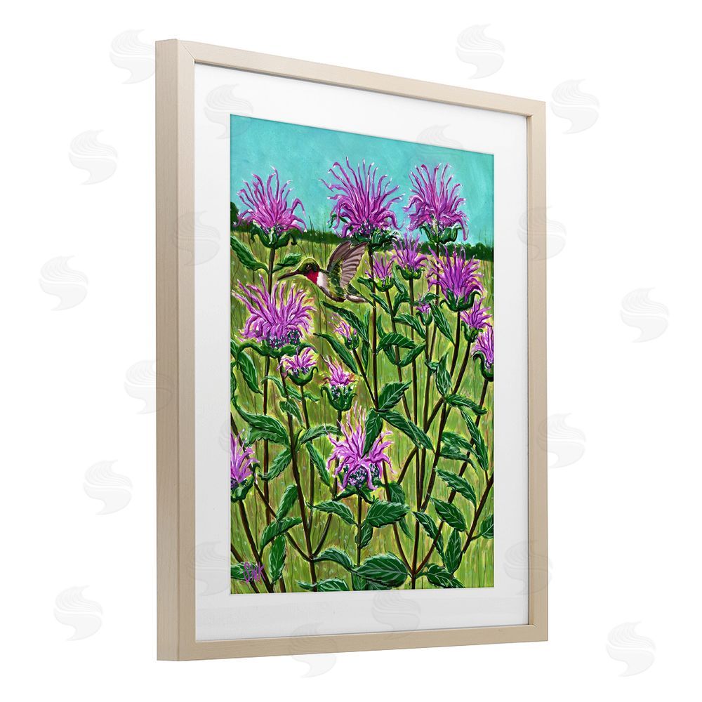 Sarah Waldron Kimball Ruby Throated Hummingbird & Beebalm Brown Framed Print Under Glass Wall Art