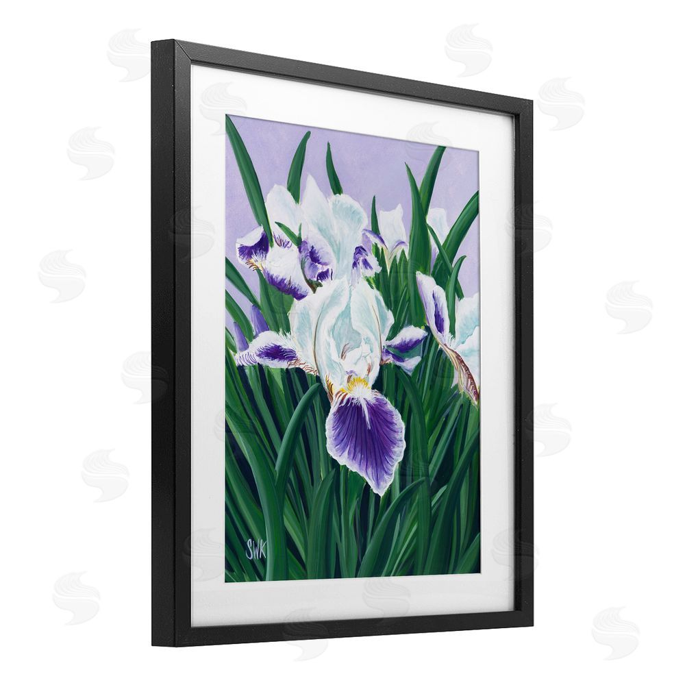 Sarah Waldron Kimball Purple & White Irises Black Framed Print Under Glass Wall Art
