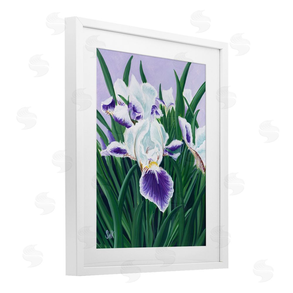 Sarah Waldron Kimball Purple & White Irises White Framed Print Under Glass Wall Art