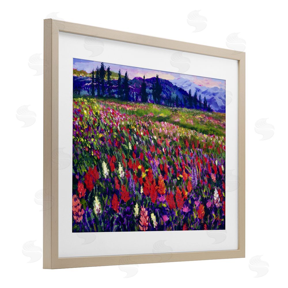 Lee Ann Zirbes Roadside Rhythm Meadow Birch Framed Print Under Glass with White Mat Wall Art