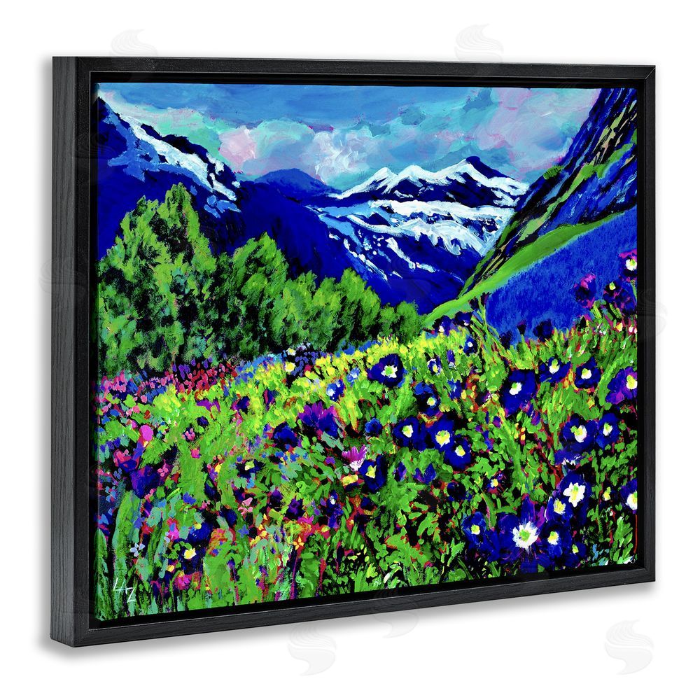 Lee Ann Zirbes Memory Mountain Valley Black Floating Frame Canvas Wall Art Print